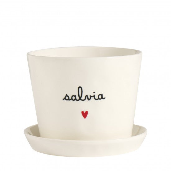 Vaso Salvia Cuore, con sottovaso