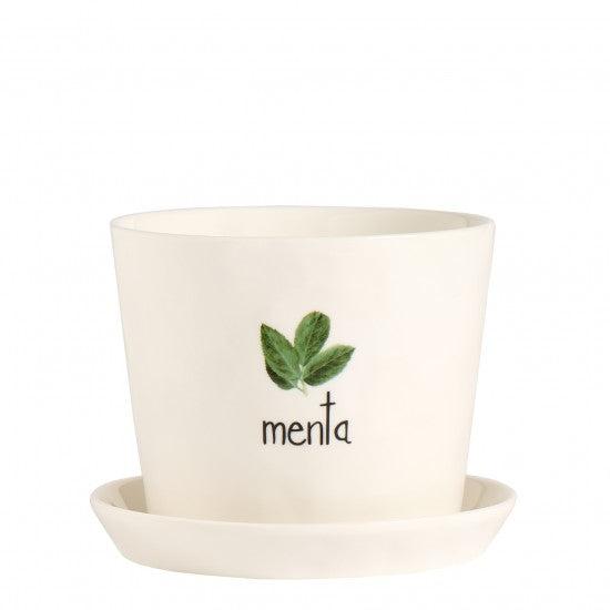 Vaso Menta, con sottovaso