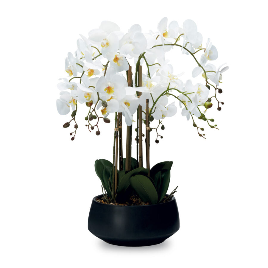 Pianta Orchidea 8 Rami con Vaso 30x70H cm - Real Touch - Orchidea Artificiale Effetto Vero