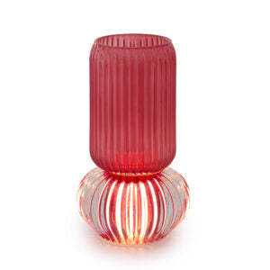 VASO ROSSO CARDINALE C/LUCE LED - Design Luminoso