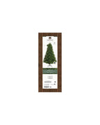 Bromont firgreen 210 cm