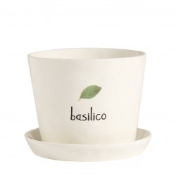 Vaso Basilico, con sottovaso Vaso Basilico, con sottovaso