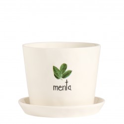 Vaso Menta, con sottovaso Vaso Menta, con sottovaso