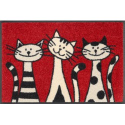 Tappeto Three Cats 40x60 Tappeto Three Cats 40x60