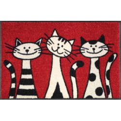 Tappeto 50x75 Three Cats Tappeto 50x75 Three Cats