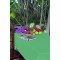 Tovaglia a metro Fibratex Dali Barbados